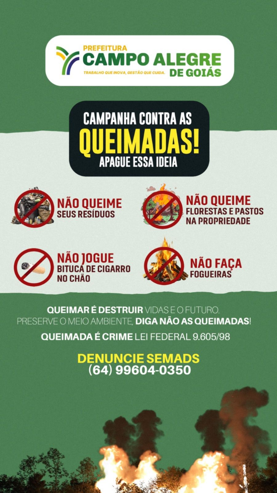 Bolsa Designer Collection